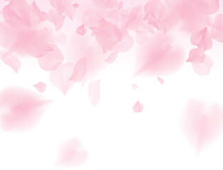 Pink sakura petals on transparent background. A lot of falling petals 3D romantic valentines day illustration. Spring tender light backdrop. Translucent png overlay tenderness romance design - 530274935
