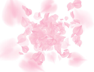 Pink roses petals falling on transparent background. PNG overlay Valentines Day. Sakura flower 3D romantic illustration. Spring tender light center backdrop. Tenderness romance design