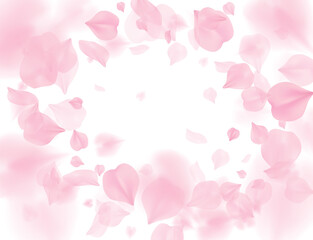 Pink sakura petals falling flower PNG overlay on transparent background. Romantic blossom. Valentines 3D illustration. Spring tender light center backdrop. Tenderness romance design - 530274967
