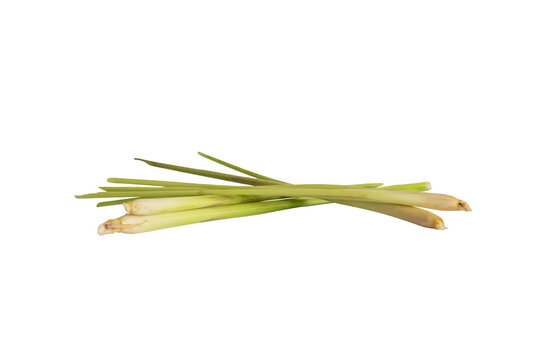 lemongrass isolated on a transparent background