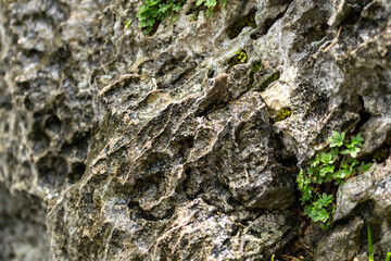 rock texture