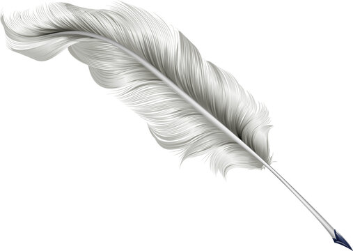 Classic feather quill illustration