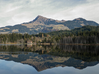 Fototapeta na wymiar mountain and tree reflection on a lake