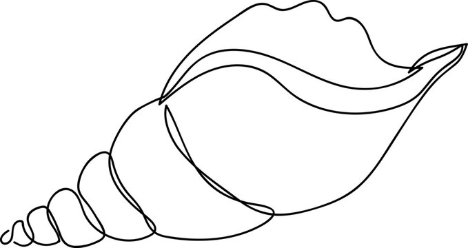 One Line Drawing  shell art