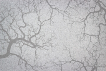 gray textured background with shadows of tree branches