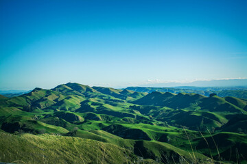 Fototapeta na wymiar Lush green of Te Mata Hills. Beautiful autumn day near Hastings, Hawkes Bay, New Zealand