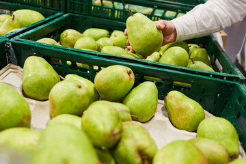 Hand eines Kunden hält eine grüne Birne am Obststand