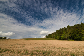 A stubble field, latter summer day under white clouds.