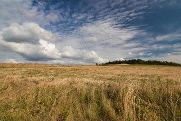 Fototapeta na wymiar A dry meadow with grass in summer hot day under beautiful sky.