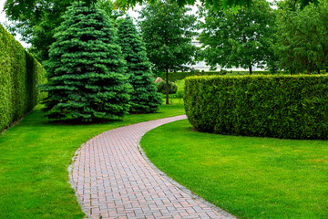 curved crescent stone tile walkway in the backyard among green plants of evergreen thuja hedges and pine trees and deciduous near trimmed green lawn meadow spring background, nobody.