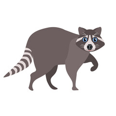 Fototapeta na wymiar Cute animal raccoon isolated on a white background.Vector illustration of a raccoon can be used in children's textiles, postcards.