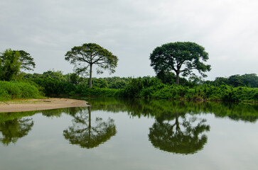 lake in the park