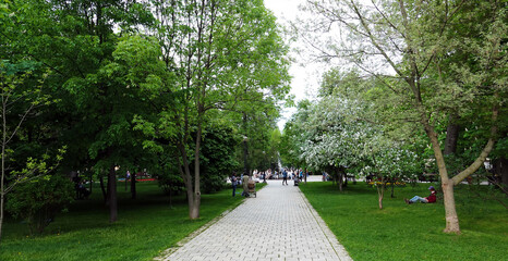 Alley in the park named after 