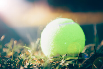 tennis ball on the field