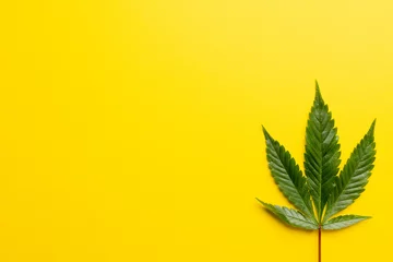 Foto op Plexiglas Image of marihuana leaf lying on white background © vectorfusionart