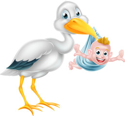 Fototapeta premium Cartoon Stork Holding New Born Baby