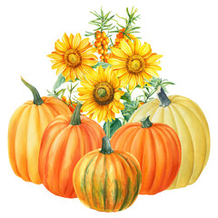 Pumpkin, sea buckthorn and sunflowers on isolated white background, watercolor hand drawing