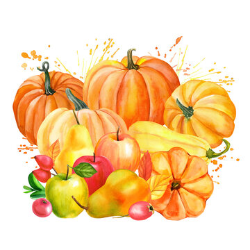 autumn fruits and vegetables on isolated white background, watercolor illustration