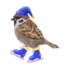 Digital card with Christmas wild bird . With transparent layer