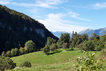 Fototapeta na wymiar Blick von Götzis (Arbogast) auf die Schweizer Berge