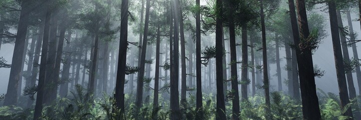 Forest in the fog in the morning, the rays of the sun in the forest in the morning in the haze, the park in the morning haze in the rays, 3d rendering
