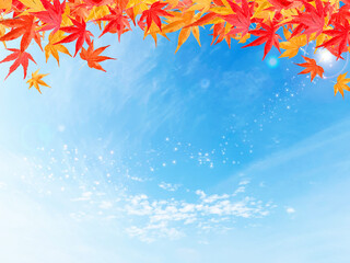 秋の紅葉と青空の背景テクスチャ
