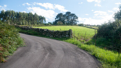 Fototapeta na wymiar Curva en carretera rural en colina