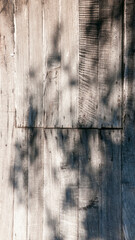 Sombra de arboles en pared de tablones de madera