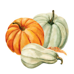 colored pumpkins watercolor illustration, hand drawing, autumn set of elements on isolated white background