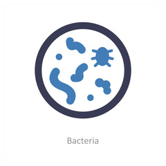 Bacteria