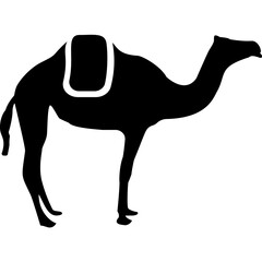 Camel Walking Glyph Vector Icon