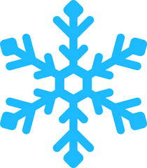 Fototapeta premium Snowflakes icon
