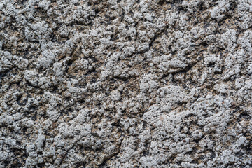 Obraz premium surface of gray weathered basalt rock