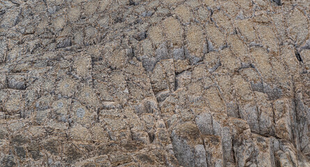 natural stone background, the bases of lava basalt columns form a kind of pavement