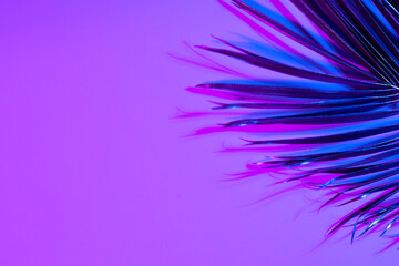 Image of vibrant neon lit pink to blue leaf over purple background with copy space