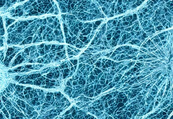 3D render view of a virus under a microscope.