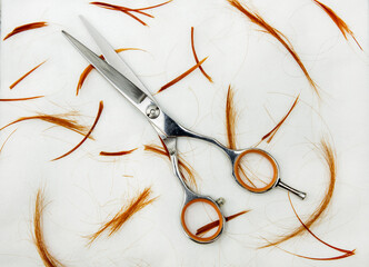 professional hairdressing scissors on the background of cut hair