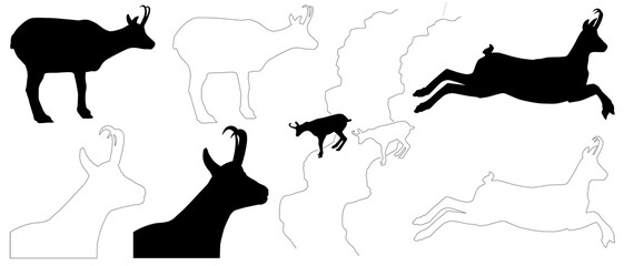 silhouette and outline of Alpine Chamois (Rupicapra rupicapra),  isolated in PNG, with transparent background	