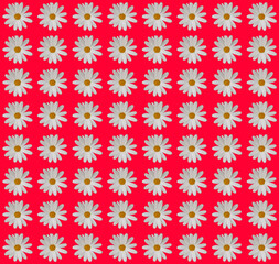 Floral wrapping paper design