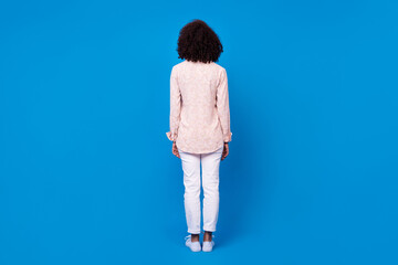 Full body rear behind photo of young lady standing nice curly hairstyle isolated on blue color background