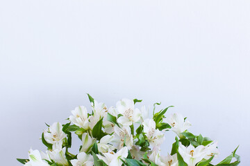 bouquet of multicolored alstroemeria isolated on white.