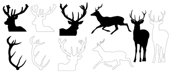 silhouette and outline of Red Deer (Cervus elaphus), isolated in PNG, with transparent background	