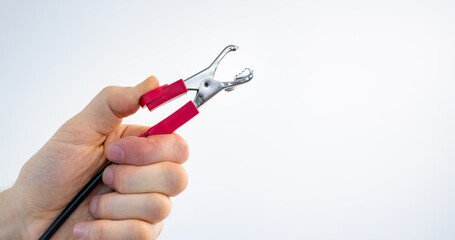 Red crocodile alligator clip in hand for electrical and electronic testing connect solder. Person measuring of tension, energy and voltage