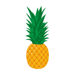 pineapple illustration isolated