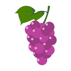 illustration of grapes