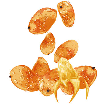トロピカルフルーツ Images Browse 4 605 Stock Photos Vectors And Video Adobe Stock