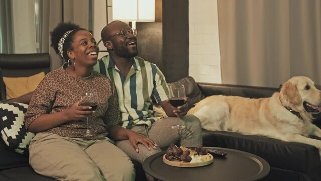 Medium long of young African American girlfriend and boyfriend sitting with dog on couch in living room, talking, couple drinking red wine from glasses, watching comedy on TV