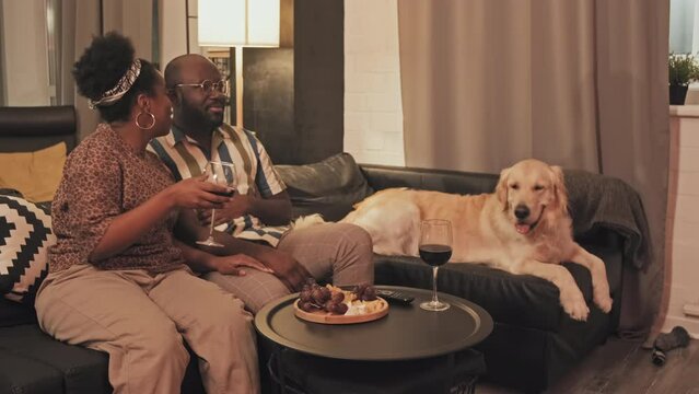 Medium long of young African American girlfriend and boyfriend sitting with dog on couch in living room, talking, couple drinking red wine from glasses, watching thriller on TV