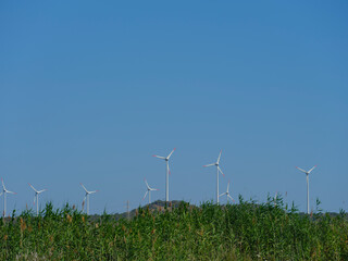 windmills producing energy in nature