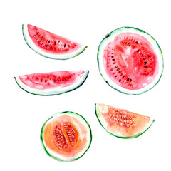 Watermelon and melon cuts in bright colors